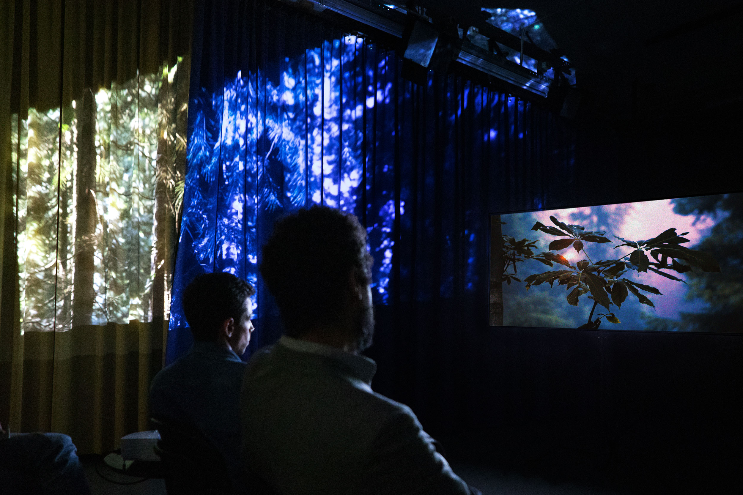 How to Love a Tree, lecture-performance by Hira Nabi