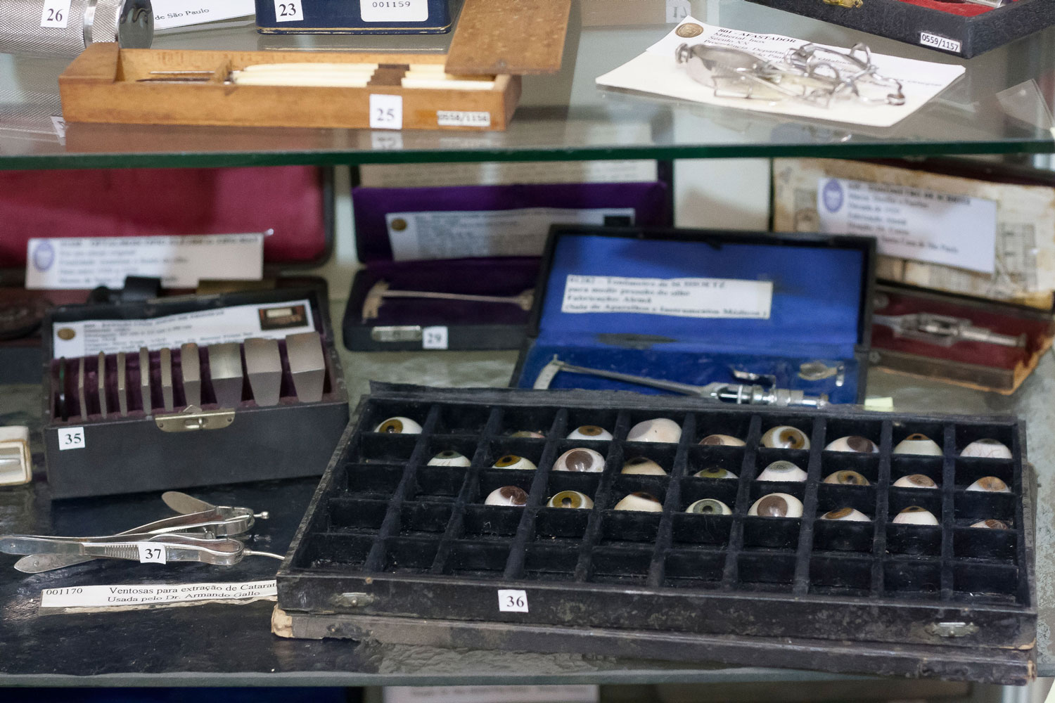 Deyson Gilbert & Leopoldo Ponce, Diagram for Attack, Galeria Jaqueline Martins & museum of the Hospital of the Holy House of Mercy