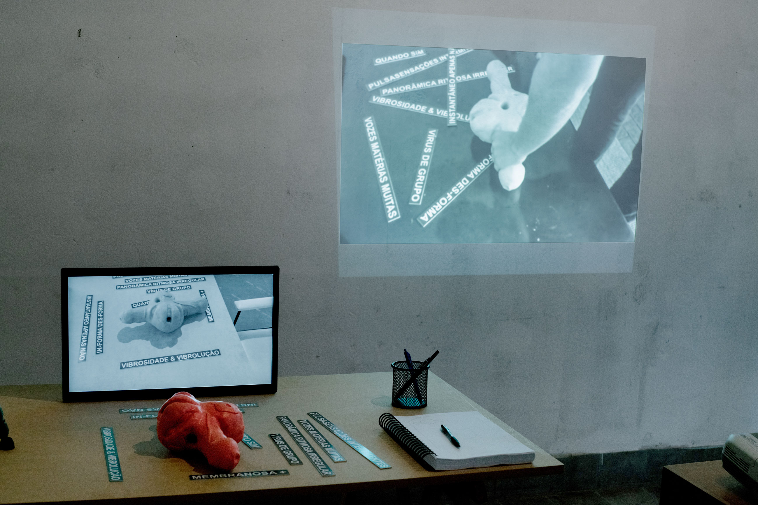 Installation by Ricardo Basbaum, system-cinema: ecstasy & exercise, at Jaqueline Martins Gallery and three domestic spaces